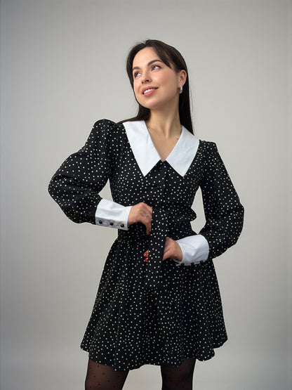 Сукня з контрастним коміром